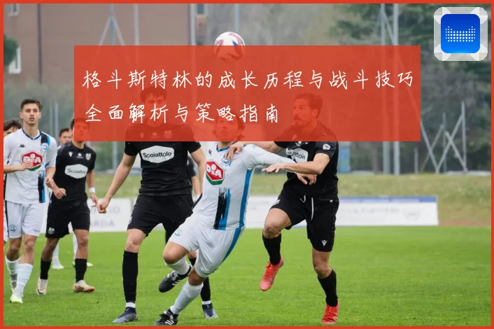 格斗斯特林的成长历程与战斗技巧全面解析与策略指南