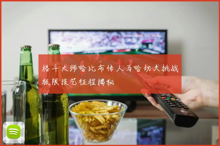 格斗大师哈比布传人马哈切夫挑战极限技艺征程揭秘
