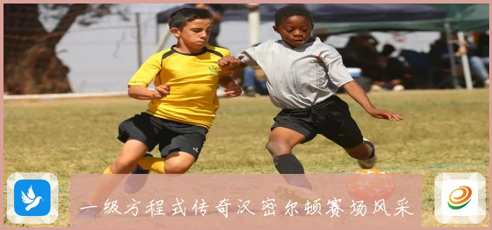 一级方程式传奇汉密尔顿赛场风采与职业生涯全景解析成长观察