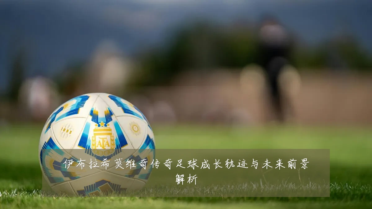 伊布拉希莫维奇传奇足球成长轨迹与未来前景解析